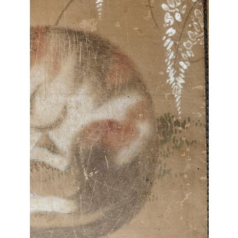 六曲一双　猫　K0 