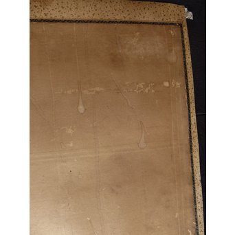 六曲一双　猫　K0 