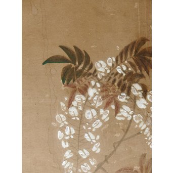 六曲一双　猫　K0 