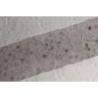 打込象嵌華紋サービス盆　S1322 