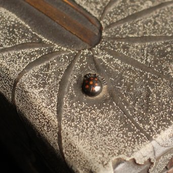 是真風蒔絵と多素材象嵌の硯箱　S1520 