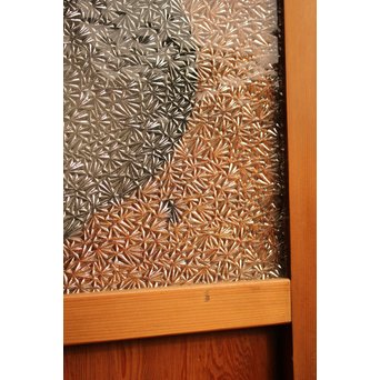 屋久杉系上杉一枚板雪隠戸/白目　GD804 