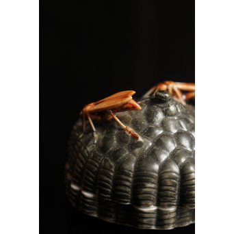 12代酒井田柿右衛門銘　蜂の巣香合　K138 