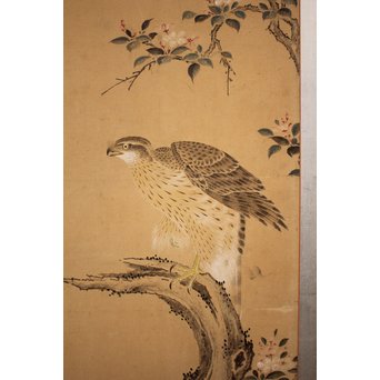 12の鷹　六曲一双屏風　K159 