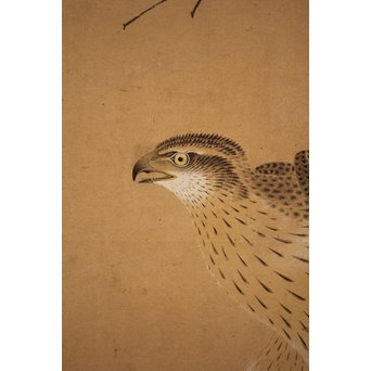 12の鷹　六曲一双屏風　K159 