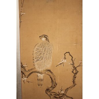 12の鷹　六曲一双屏風　K159 