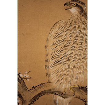 12の鷹　六曲一双屏風　K159 