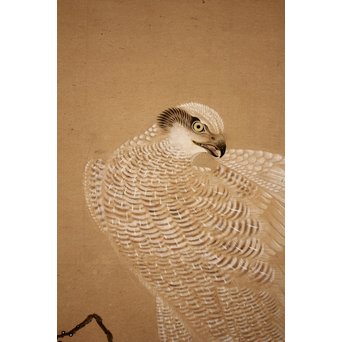 12の鷹　六曲一双屏風　K159 