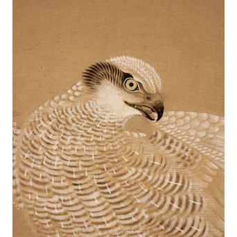 12の鷹　六曲一双屏風　K159 