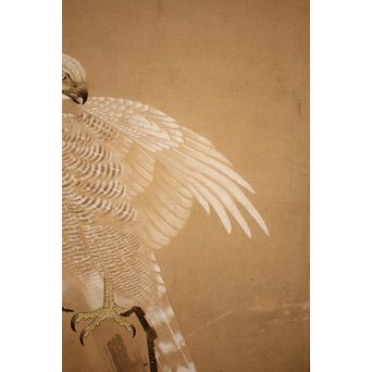 12の鷹　六曲一双屏風　K159 