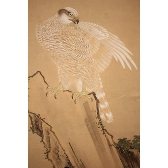 12の鷹　六曲一双屏風　K159 