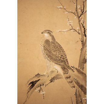 12の鷹　六曲一双屏風　K159 