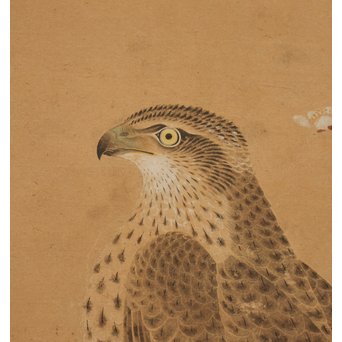 12の鷹　六曲一双屏風　K159 