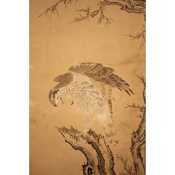 12の鷹　六曲一双屏風　K159 