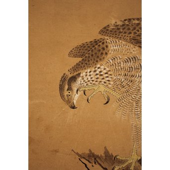 12の鷹　六曲一双屏風　K159 