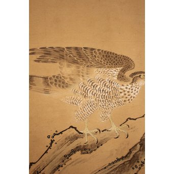 12の鷹　六曲一双屏風　K159 