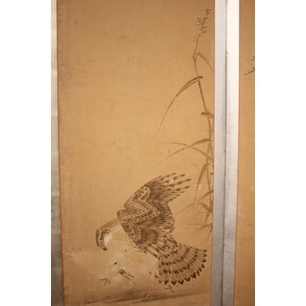 12の鷹　六曲一双屏風　K159 