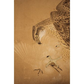 12の鷹　六曲一双屏風　K159 