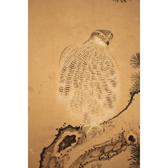 12の鷹　六曲一双屏風　K159 