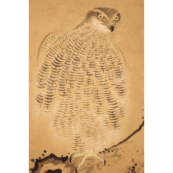 12の鷹　六曲一双屏風　K159 