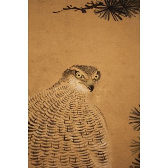 12の鷹　六曲一双屏風　K159 