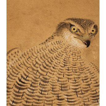 12の鷹　六曲一双屏風　K159 