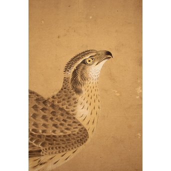 12の鷹　六曲一双屏風　K159 