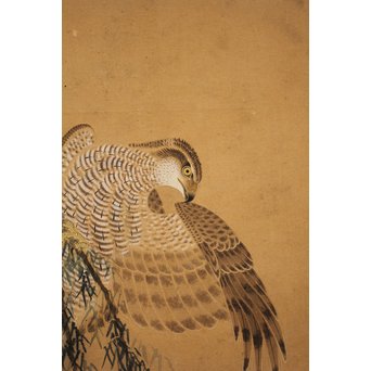 12の鷹　六曲一双屏風　K159 