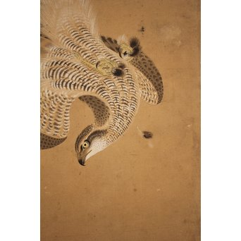 12の鷹　六曲一双屏風　K159 