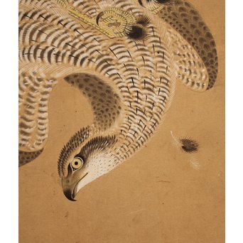 12の鷹　六曲一双屏風　K159 