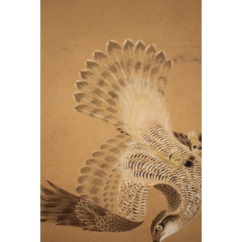 12の鷹　六曲一双屏風　K159 