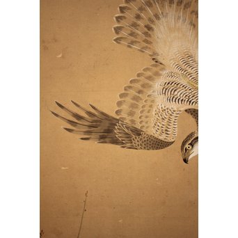 12の鷹　六曲一双屏風　K159 