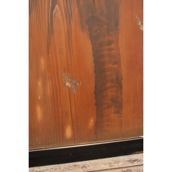 花鳥図一枚板の板絵2枚1組　B773Y 