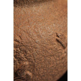 龍文堂太郎坊銘　鉄瓶　H436 