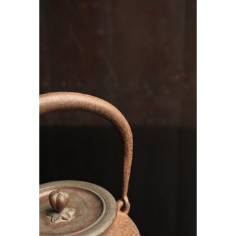 龍文堂太郎坊銘　鉄瓶　H436 