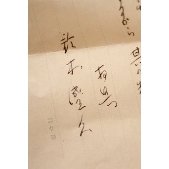 13代人間国宝鈴木盛久造　直筆手紙付　霊芝蓋虫食羽茶釜　K252 