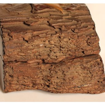 名木袖摺松蝉蒔絵香合　K258 