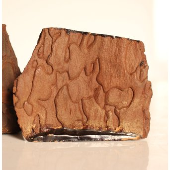 名木袖摺松蝉蒔絵香合　K258 