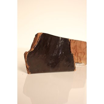 名木袖摺松蝉蒔絵香合　K258 