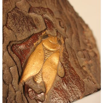 名木袖摺松蝉蒔絵香合　K258 