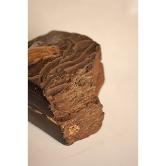 名木袖摺松蝉蒔絵香合　K258 