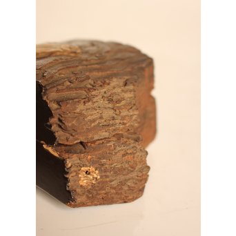 名木袖摺松蝉蒔絵香合　K258 