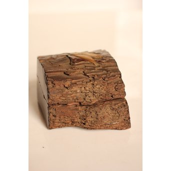 名木袖摺松蝉蒔絵香合　K258 