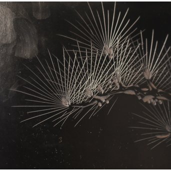 人間国宝　前大峰　彫漆硯箱　S2710 