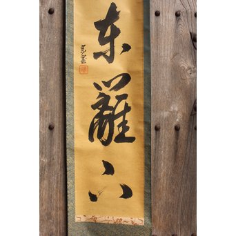 裏千家十四代宗室/淡々斎  一行書[采菊東籬下] 掛軸/茶掛　K296 