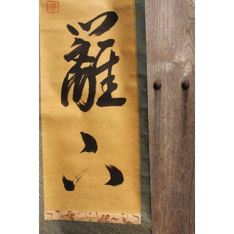 裏千家十四代宗室/淡々斎  一行書[采菊東籬下] 掛軸/茶掛　K296 