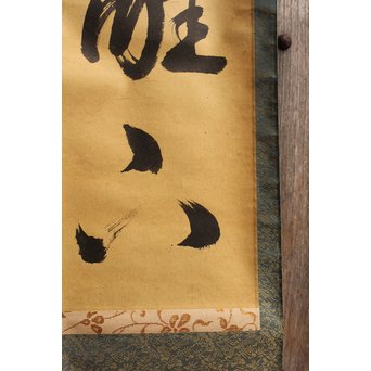 裏千家十四代宗室/淡々斎  一行書[采菊東籬下] 掛軸/茶掛　K296 