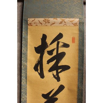 裏千家十四代宗室/淡々斎  一行書[采菊東籬下] 掛軸/茶掛　K296 