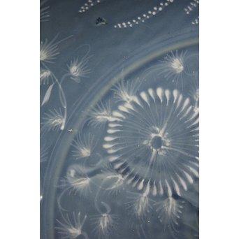 呉州瑠璃餅花手大皿　S2744 