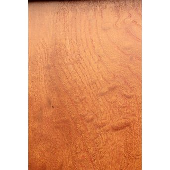 極上総欅超重級蔵戸　W480 